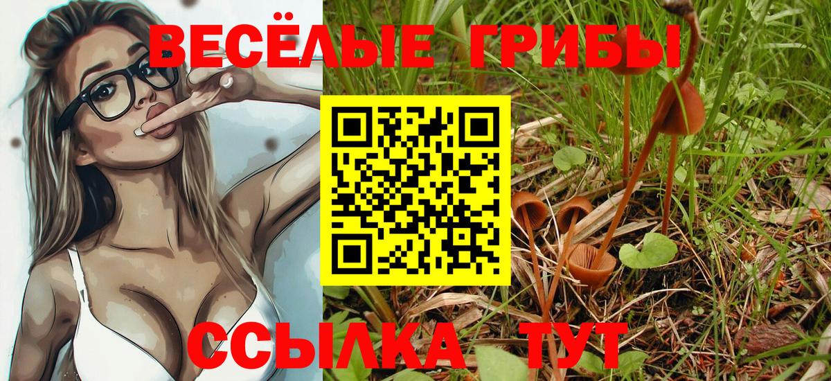 Галлюциногенные грибы GOLDEN TEACHER  Псилоцибиновые грибы Cubensis  Ейск  Вход с VPN 